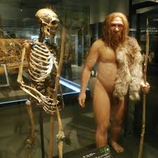 neanderthal man man